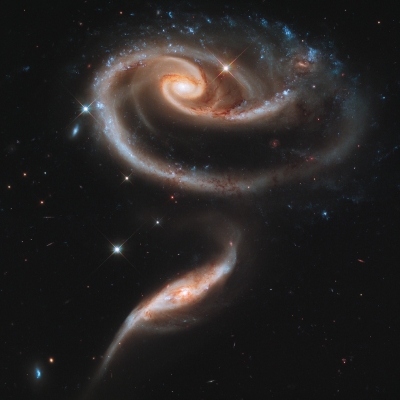 A rose made of galaxies